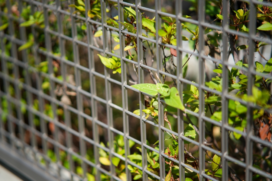 SONY α7CR + TTArtisan AF 85mm F1.8 Neo