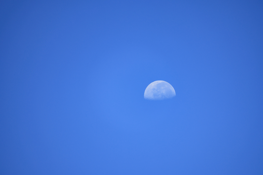 Canon EOS R10 + SIGMA 16-300mm F3.5-6.7 DC OS | Contemporary