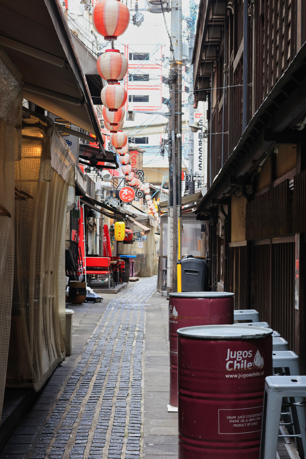 Canon EOS R10 + RF 50mm F1.8 STM