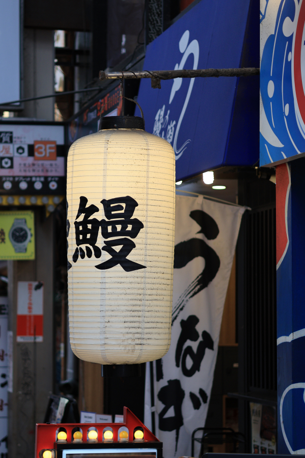 Canon EOS R10 + RF 50mm F1.8 STM