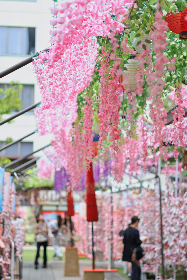 Canon EOS R10 + RF 50mm F1.8 STM