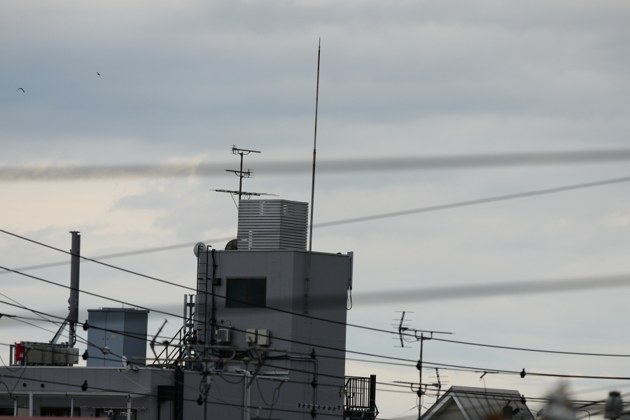 SONY α7CR + FE 100-400mm F5.6-8 OSS