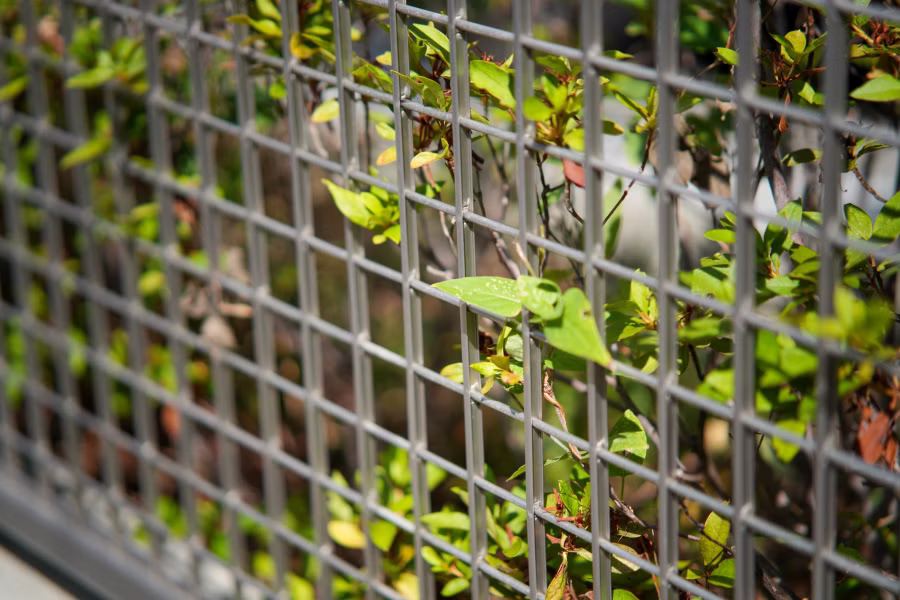 SONY α7CR + TTArtisan AF 85mm F1.8 Neo