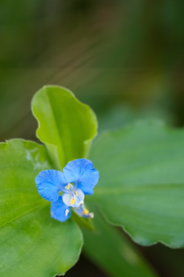 SONY α7 CR + TAMRON 25-200mm F/2.8-5.6 Di III VXD G2
