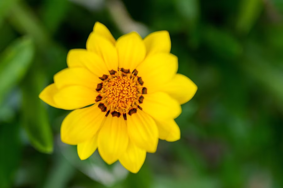 SONY α7CR + FE 20-70mm F4 G