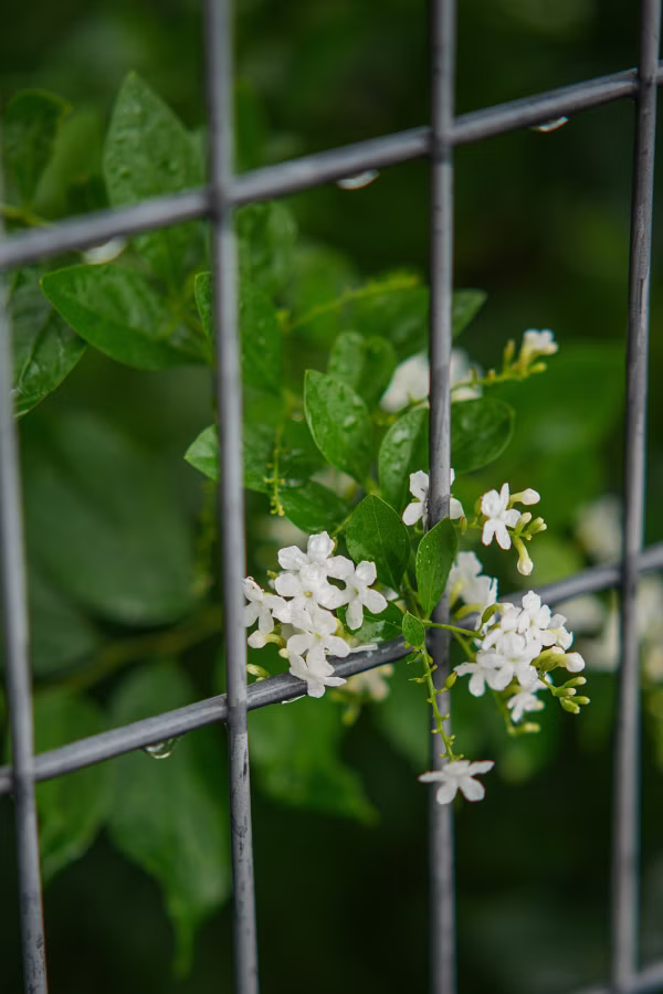 SONY α7CR + TTArtisan AF 85mm F1.8 Neo