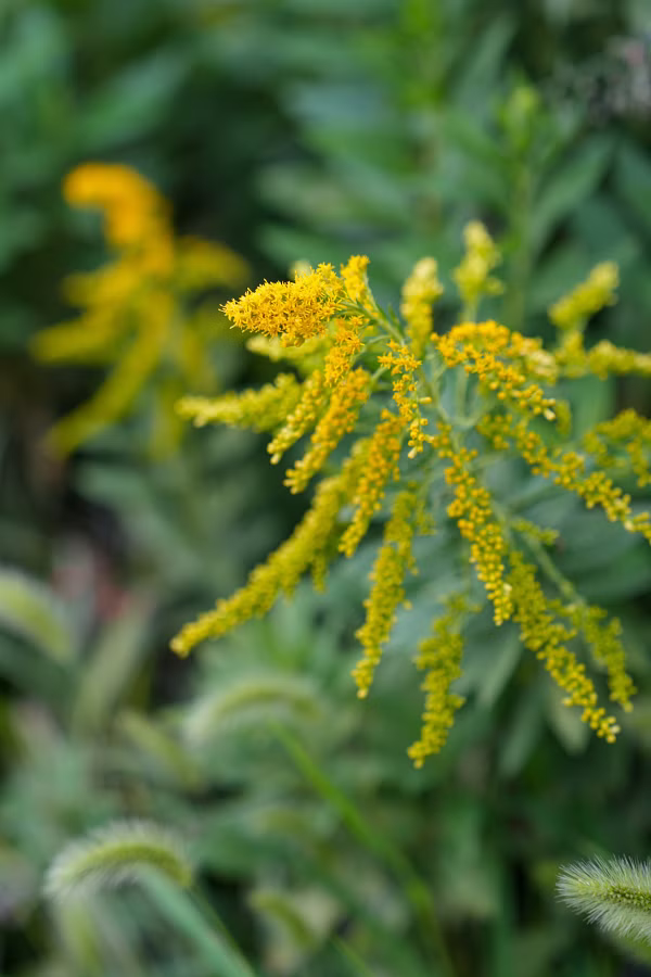 SONY α7CR + FE 24-70mm F2.8 GM II
