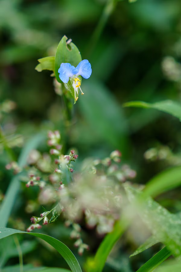 SONY α7CR + FE 24-70mm F2.8 GM II