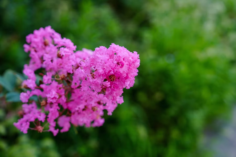 SONY α7CR + FE 24-70mm F2.8 GM II